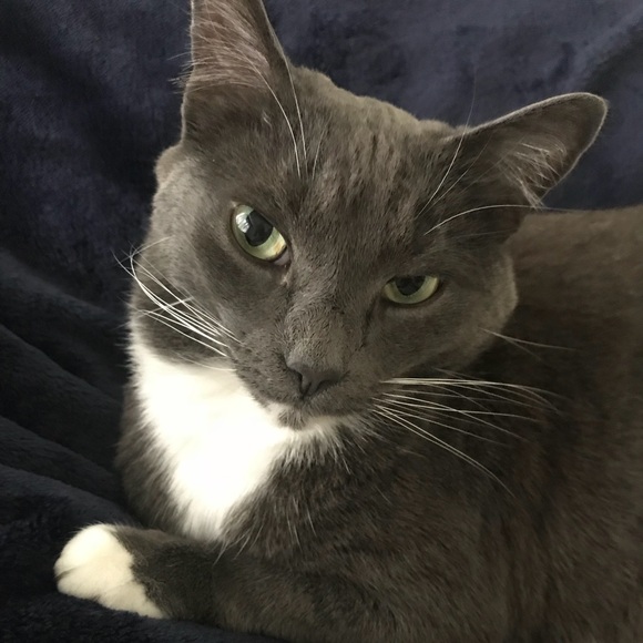 Meet your Posher, Robin - Picture 7 of 8